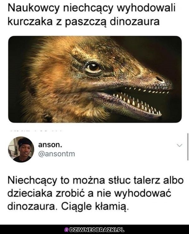 Niechcący, taa