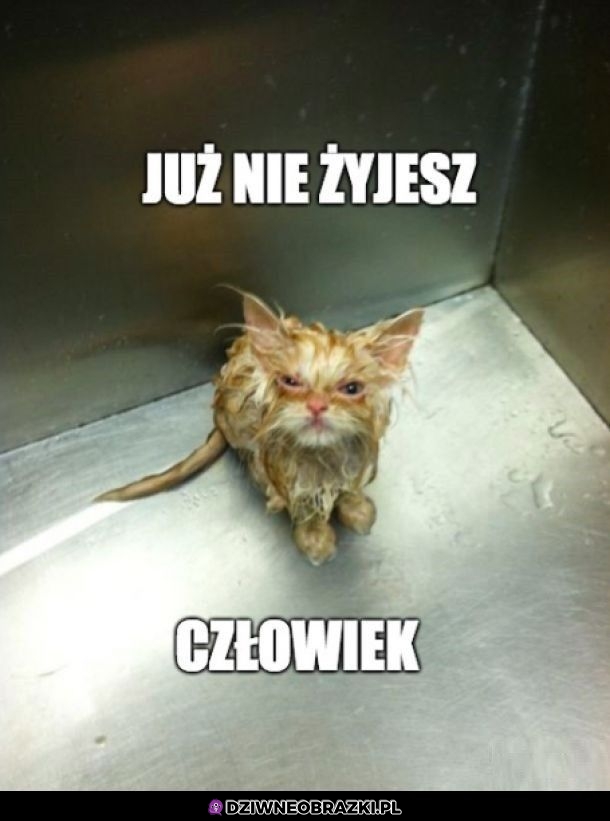 Już po tobie