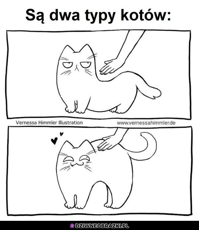 Dwa typy kotów