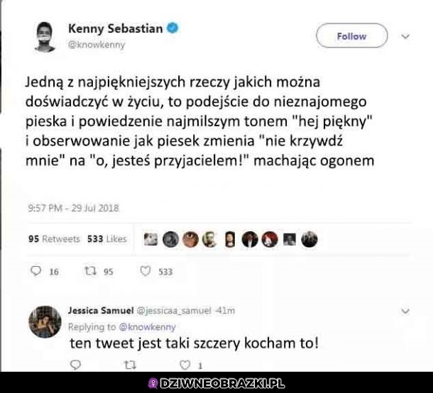 Trochę tak