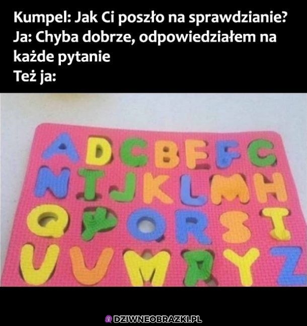 Jak ci poszło?