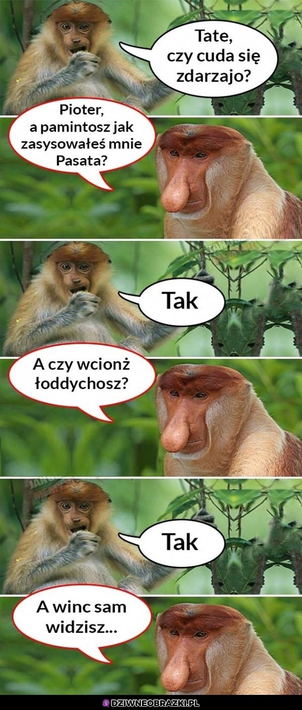Cud