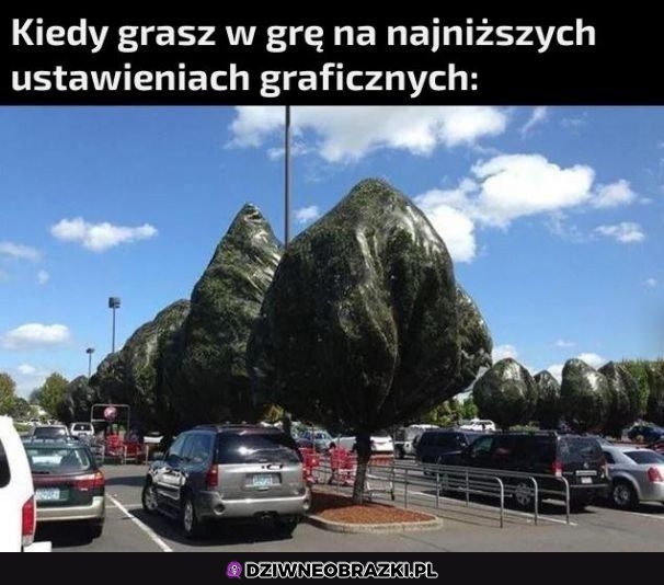 Tak to wygląda