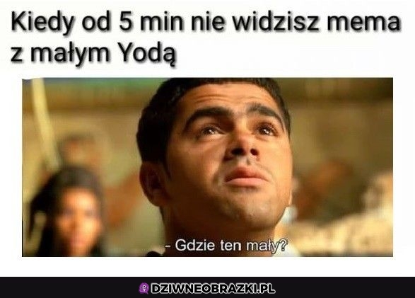 Gdzie on się podział