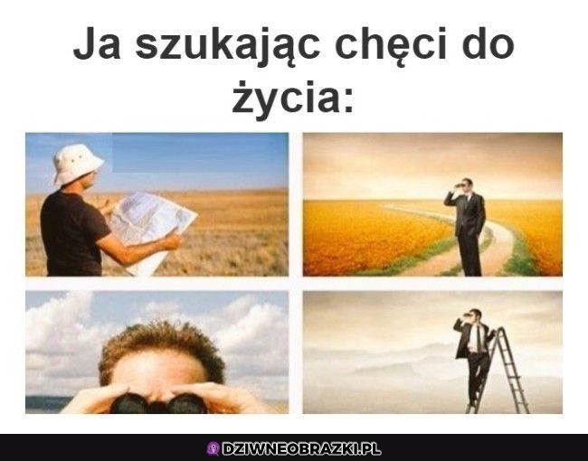 Szukam i szukam
