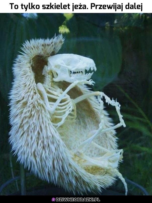 Creepy as f*ck