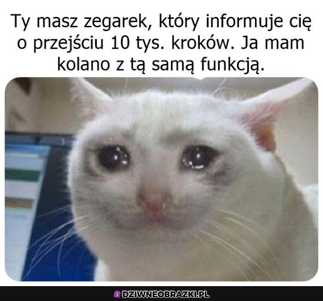 Ty masz zegarek, ja mam kolano