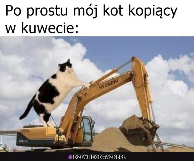 Zawsze tak robi