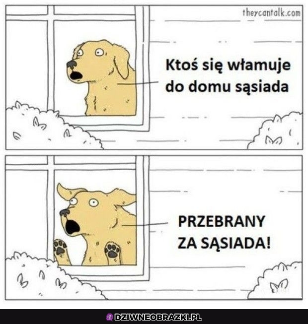 Włamywacz
