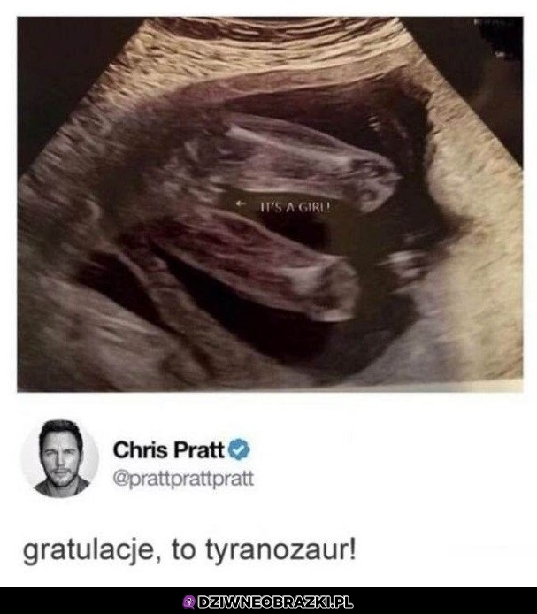 Gratulacje!