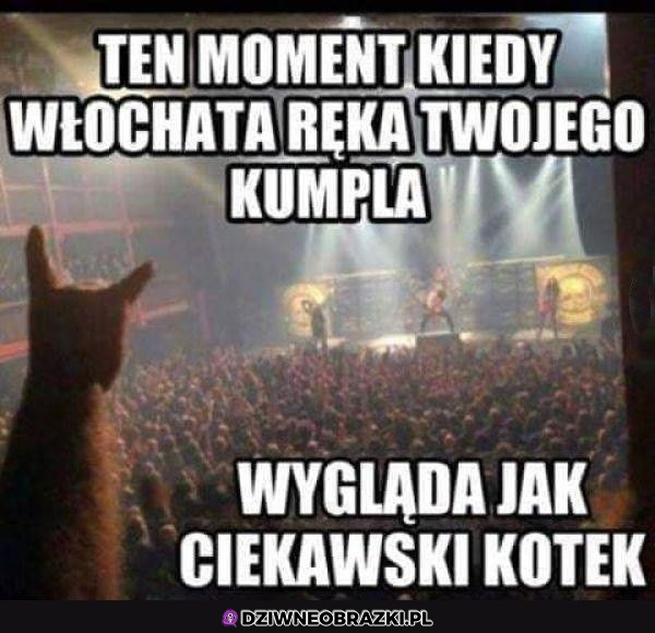 A ty co widzisz?