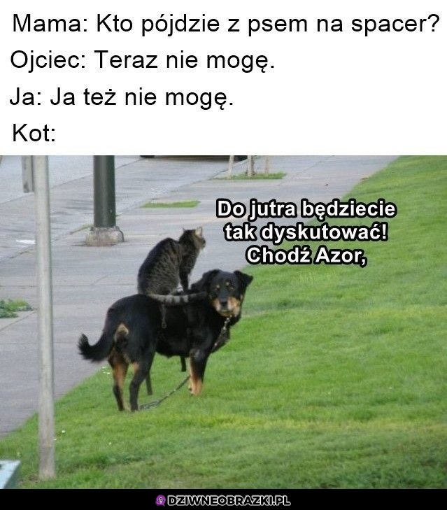 Kiedy nikomu się nie chce