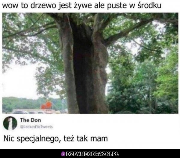 Przypomina mnie