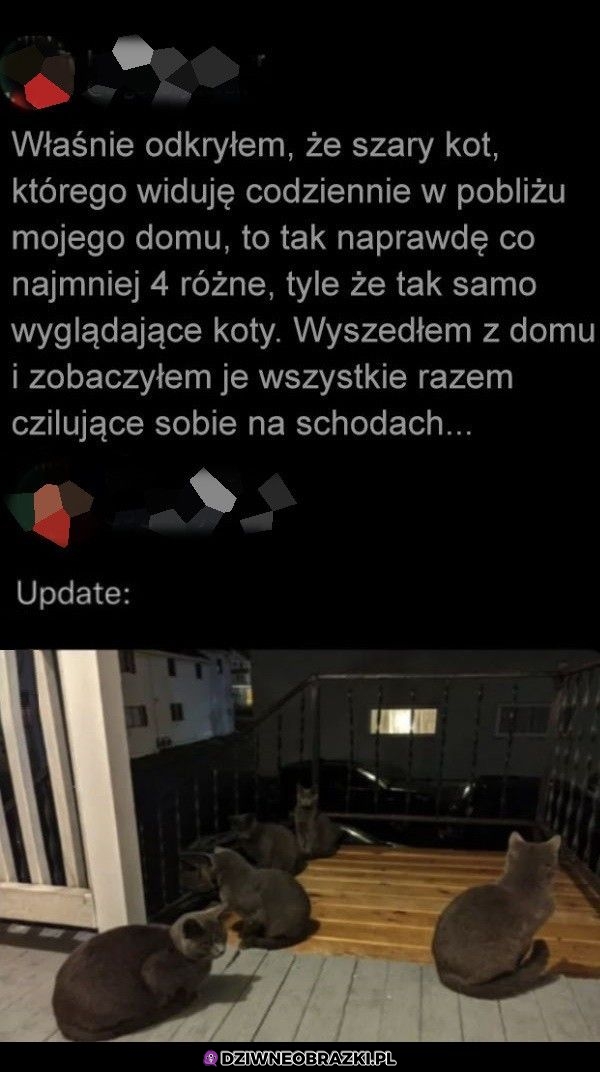 Odkrycie