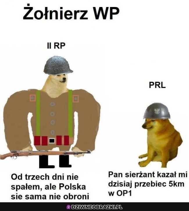 Żołnierze