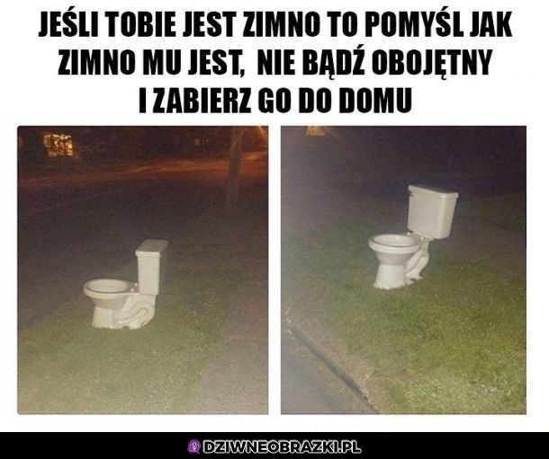 Przygarnij go
