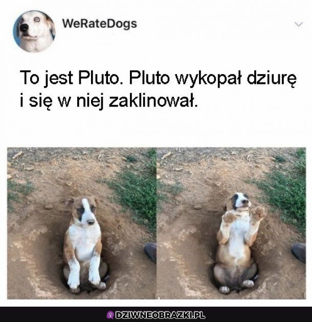 Pieseł