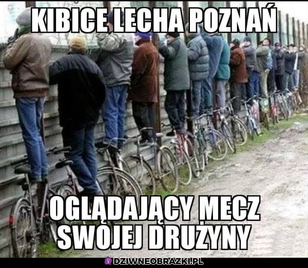 Kibice Lecha