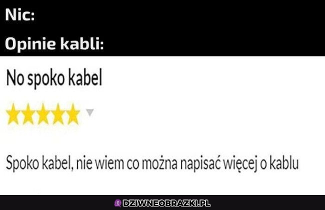 Recenzja