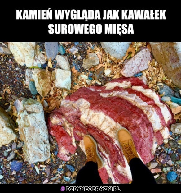 Smakowicie wygląda