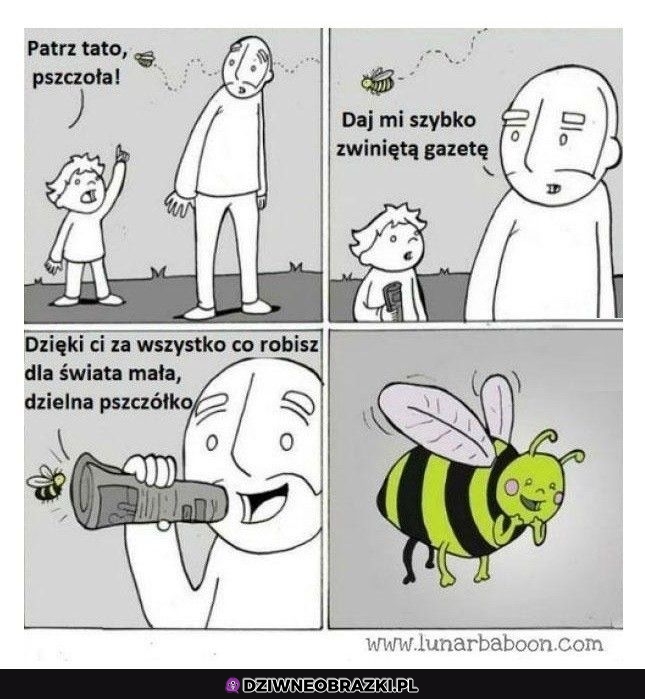 Patrz pszczoła