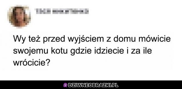 Oczywiście, że tak