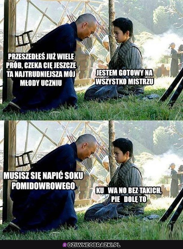 Przesada