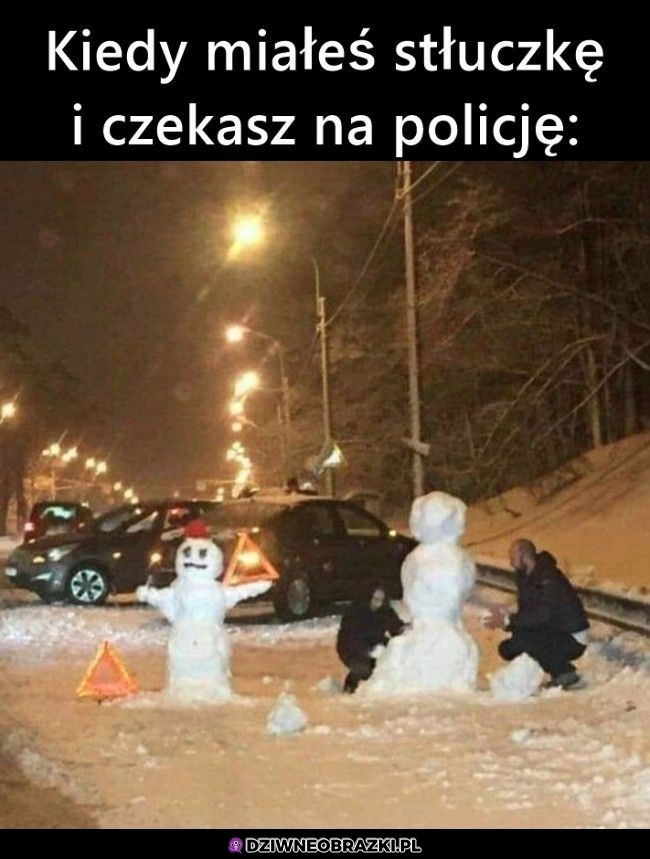 Nie ma co się nudzić