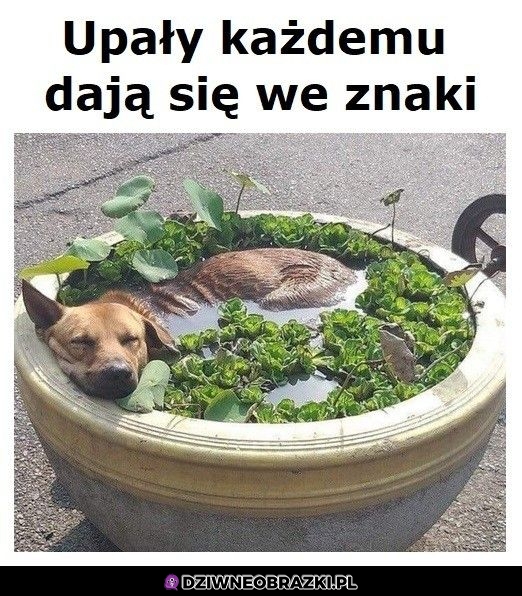 Dobry sposób