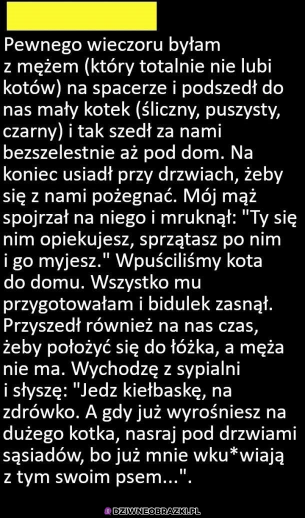 I tak został członkiem rodziny