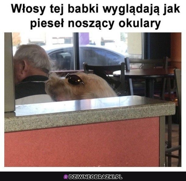 Bez kitu tak