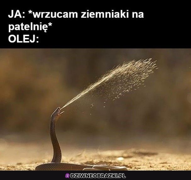 Ten moment