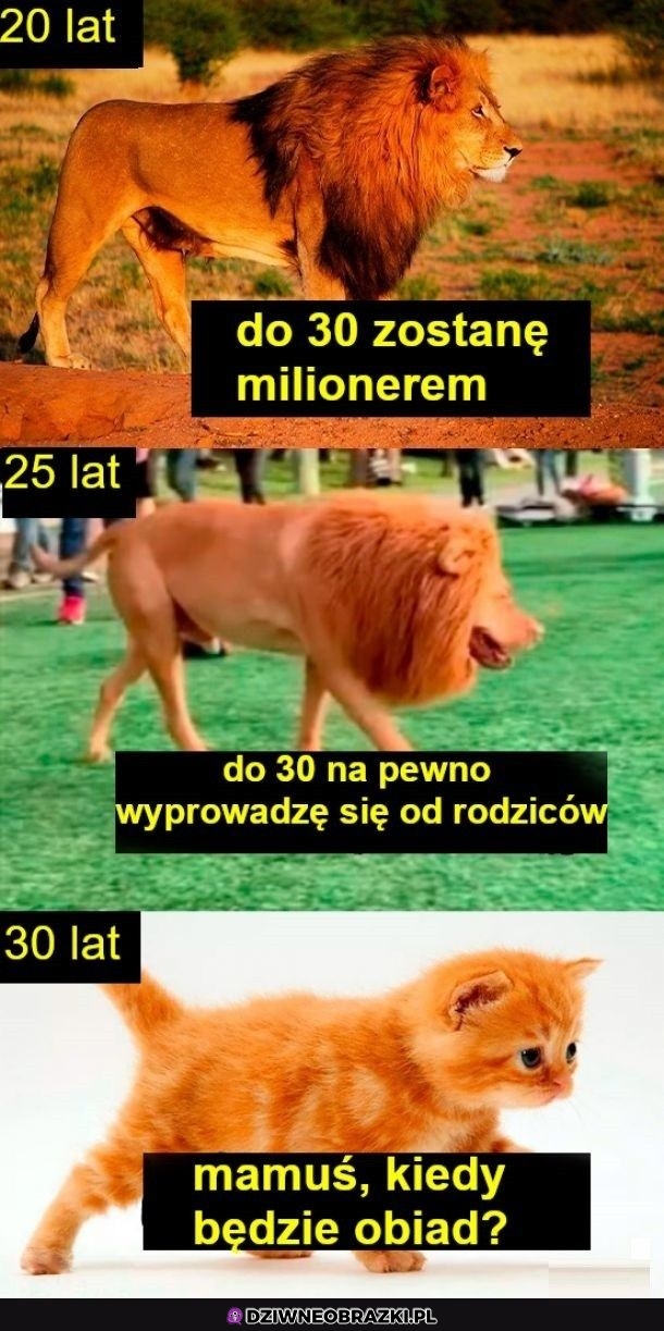 Tak się pozmieniało