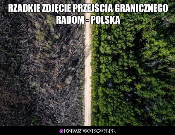 Rzadki widok