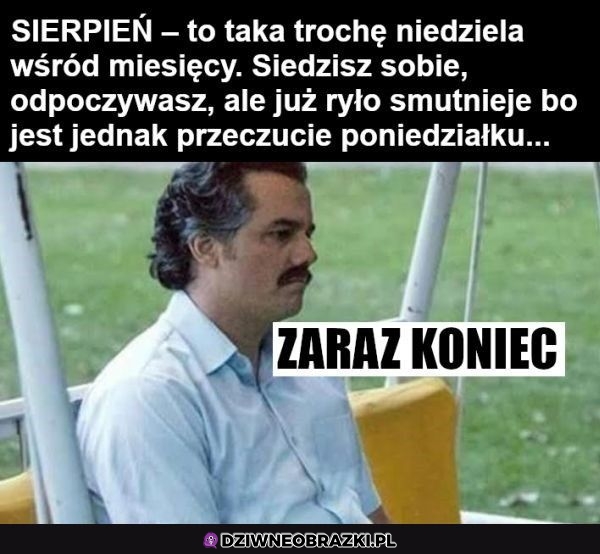 Właśnie właśnie