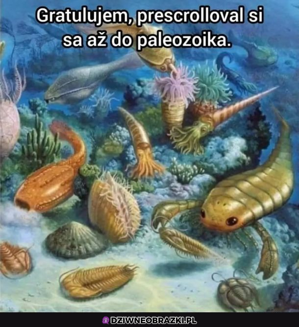 Gratulacje!