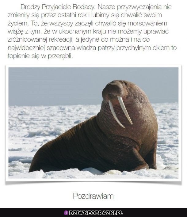 Dokładnie