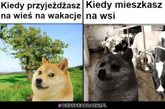 Tak to wygląda