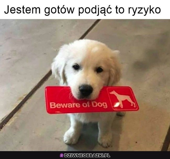 Wchodze w to