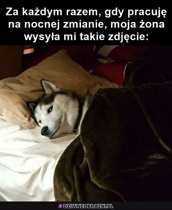 Taki zastępca