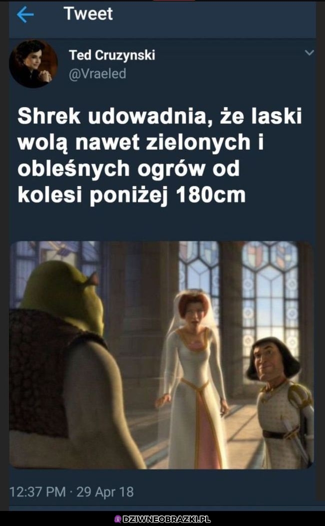 Szach mat kurduple