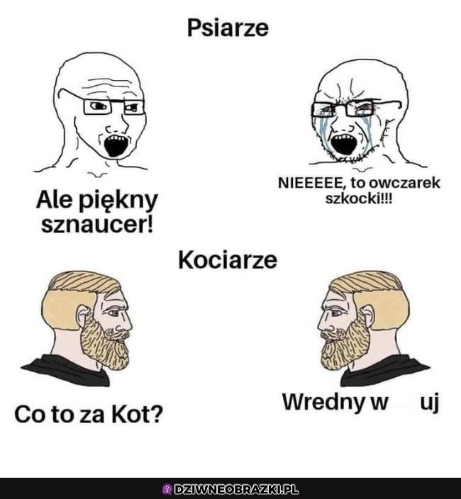 Dokładnie tak
