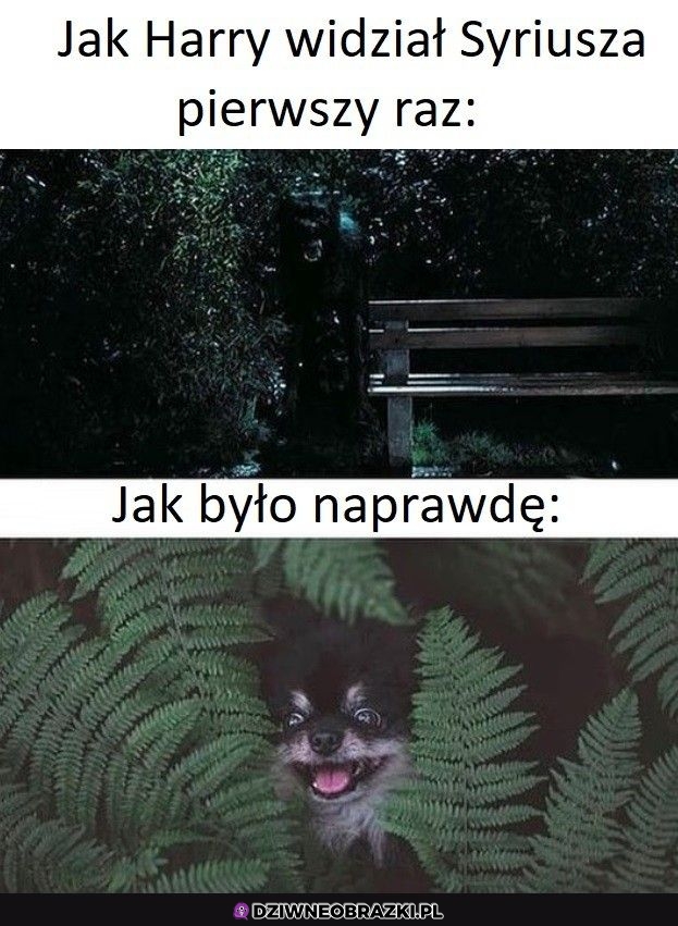 Pierwsze spotkanie