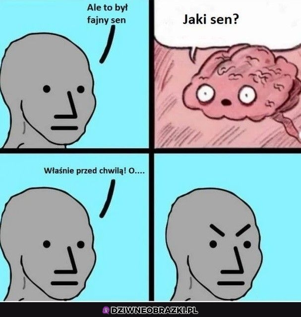 Fajny sen