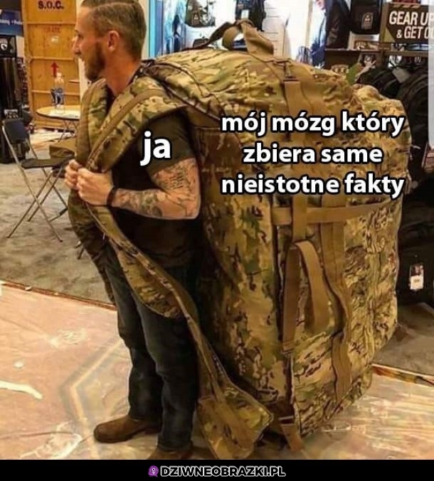 Tak właśnie działa