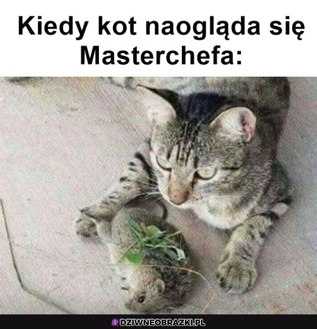 Udekorowane