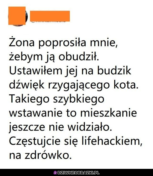 Szybkie budzenie żony