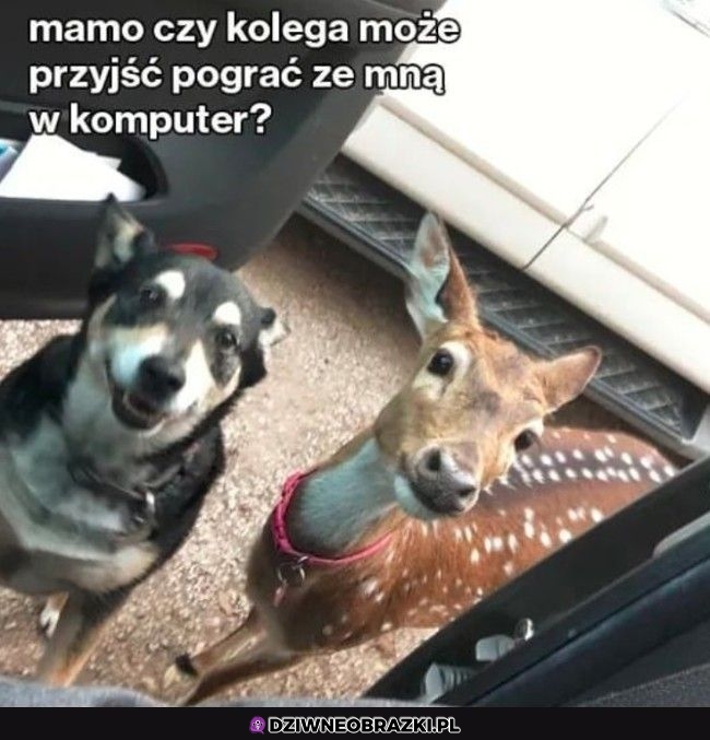 Tak było