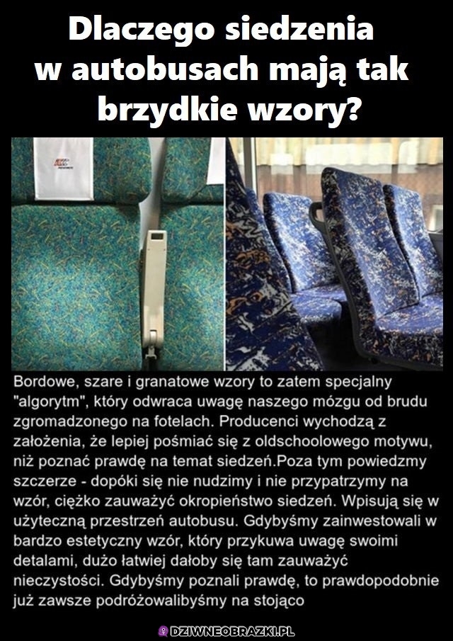 Siedzenia w busach