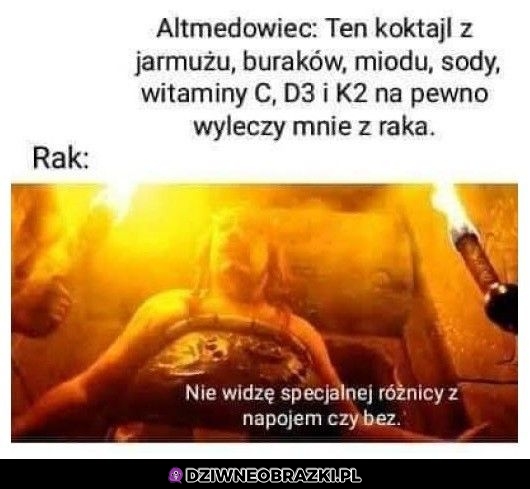 Altmedy
